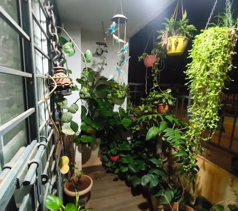 WhatsApp Image 2026-03-12 at 1.56.56 PM