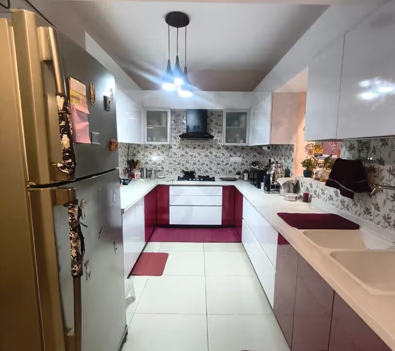 WhatsApp Image 2026-03-12 at 1.57.14 PM