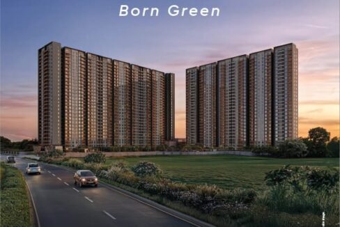 WhatsApp Image 2026-03-12 at 4.00.33 PM (1)