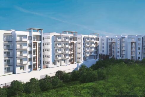 WhatsApp Image 2026-03-13 at 1.32.38 PM