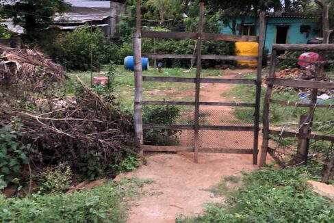 WhatsApp Image 2026-03-20 at 11.29.48 AM (1)