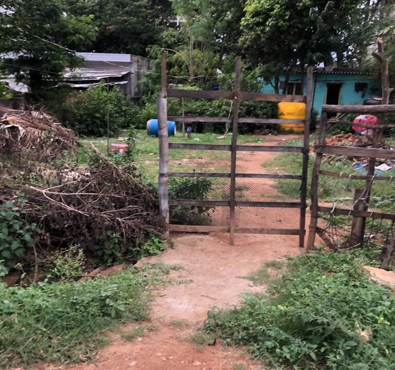 WhatsApp Image 2026-03-20 at 11.29.48 AM (1)