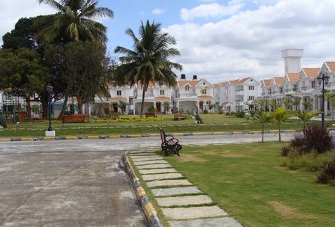 WhatsApp Image 2026-03-24 at 5.28.21 PM (2)