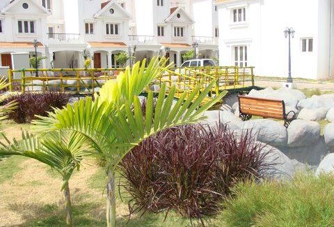 WhatsApp Image 2026-03-24 at 5.28.21 PM