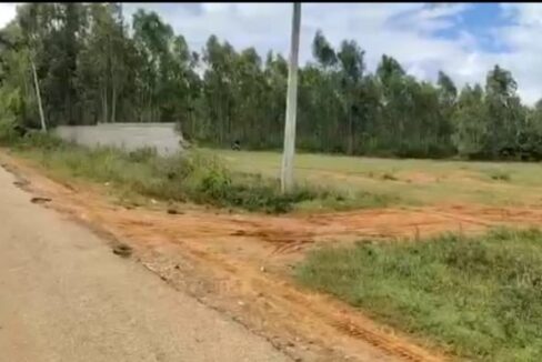 WhatsApp Image 2026-03-25 at 2.33.46 PM (1)