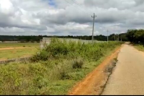 WhatsApp Image 2026-03-25 at 2.33.46 PM