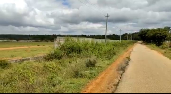 WhatsApp Image 2026-03-25 at 2.33.46 PM