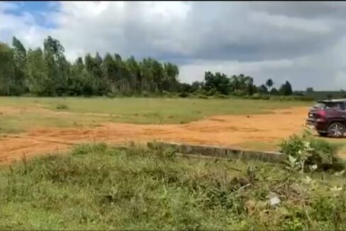 WhatsApp Image 2026-03-25 at 2.33.47 PM (1)