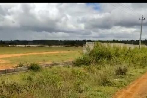 WhatsApp Image 2026-03-25 at 2.33.47 PM