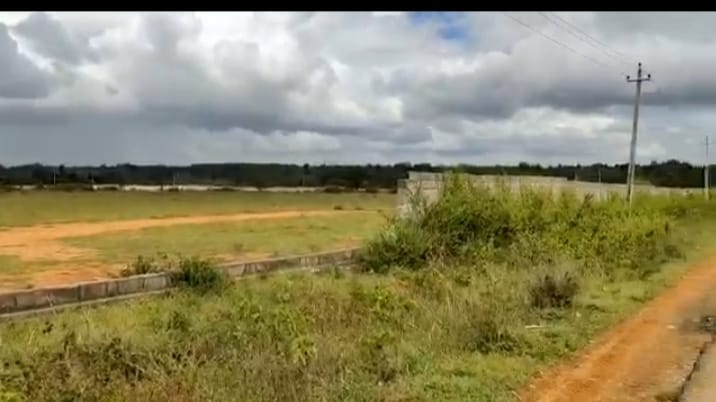 WhatsApp Image 2026-03-25 at 2.33.47 PM