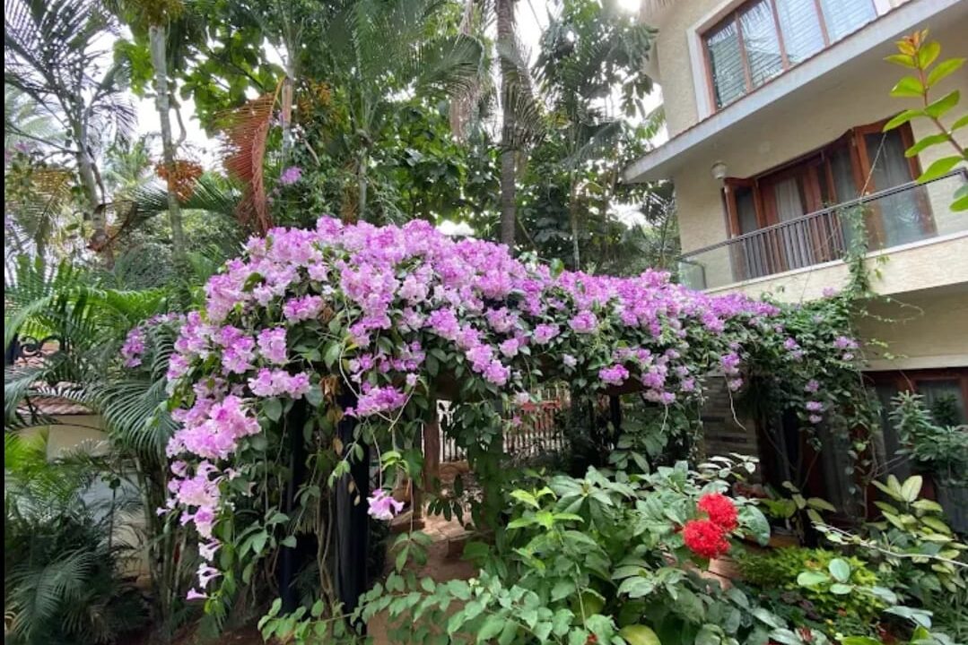 WhatsApp Image 2026-03-27 at 10.55.42 AM (1)