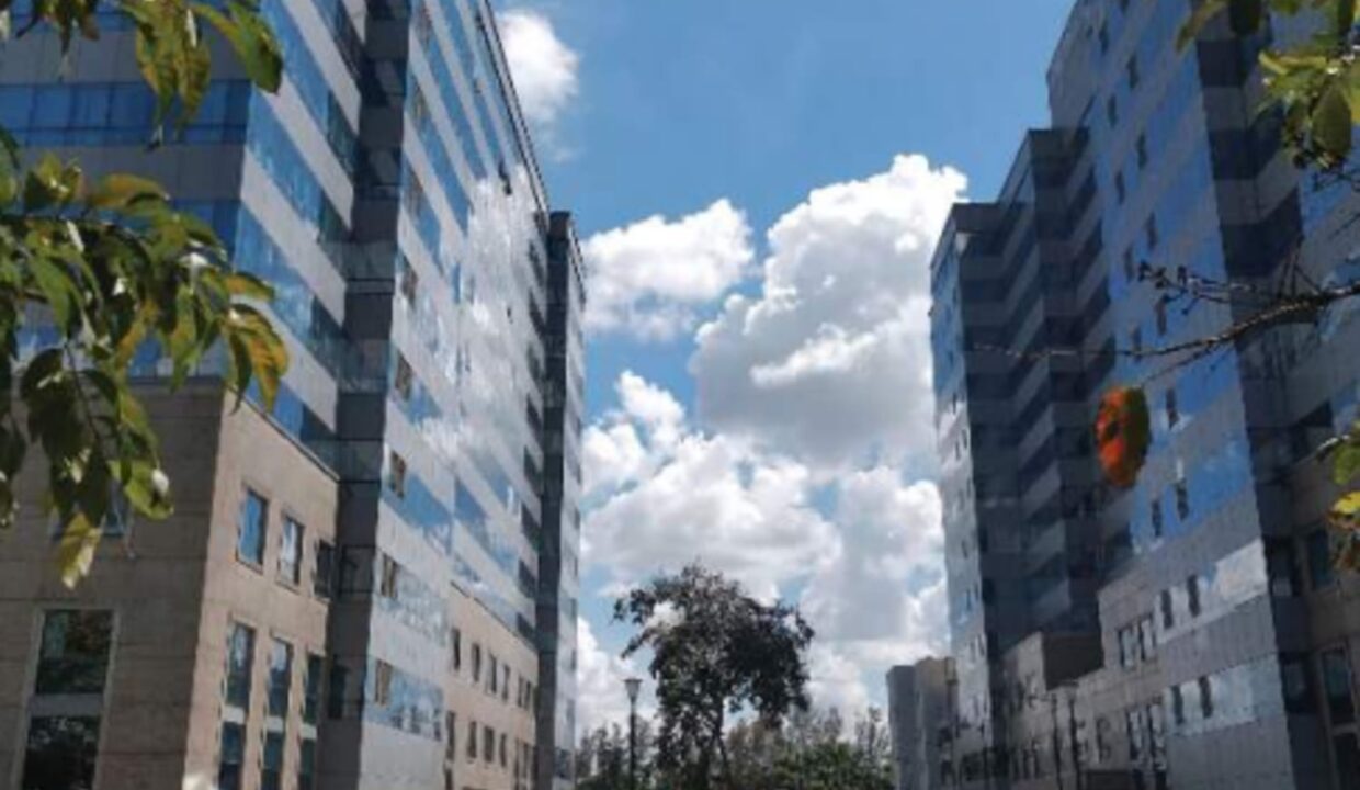 WhatsApp Image 2026-03-29 at 12.23.19 PM (2)