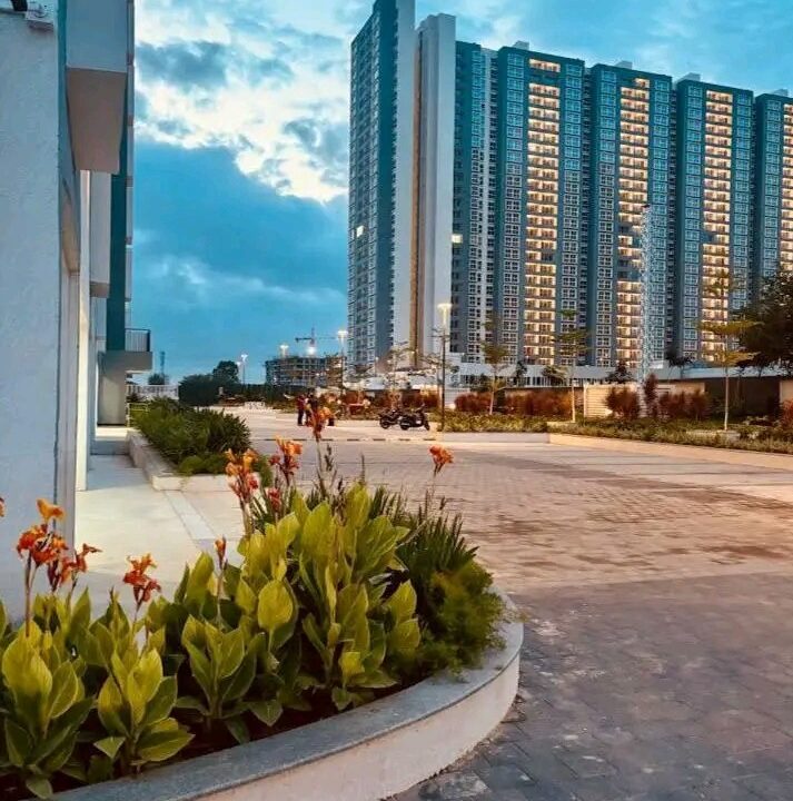 WhatsApp Image 2026-03-30 at 4.07.10 PM (1)