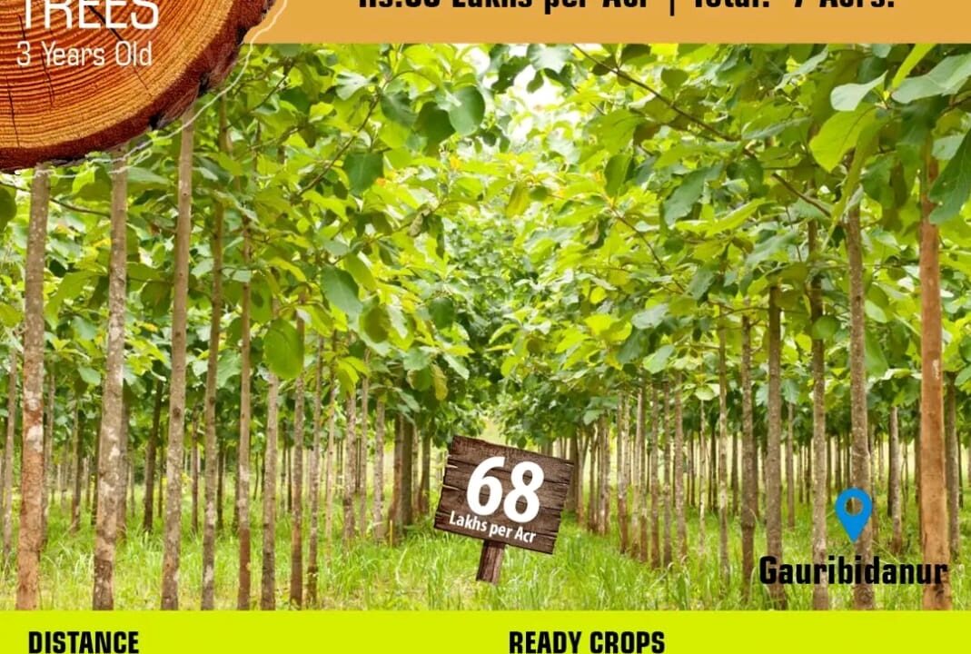 e883d7c9-4a03-4b81-aa3b-9a9f53369513