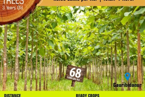 e883d7c9-4a03-4b81-aa3b-9a9f53369513