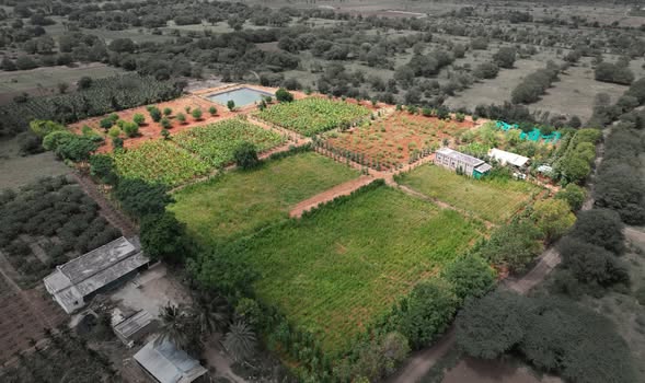 fd1c76c9-fd86-4493-b5a4-56fc12176e1c