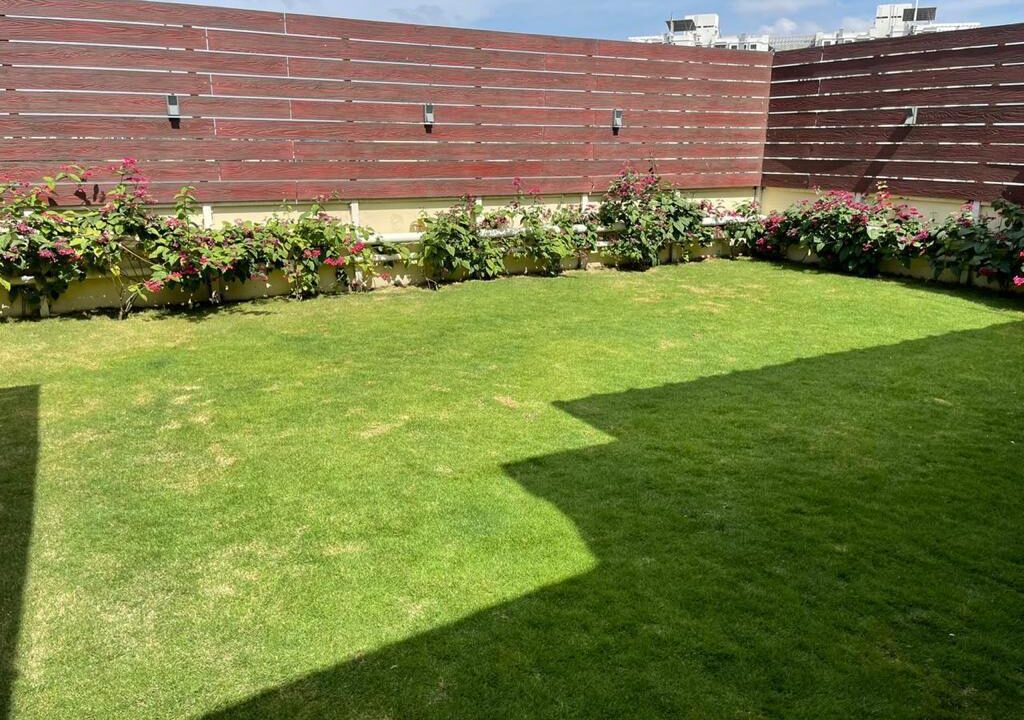 05f09d71-ec55-4eca-919e-b7fe73bc6ad6