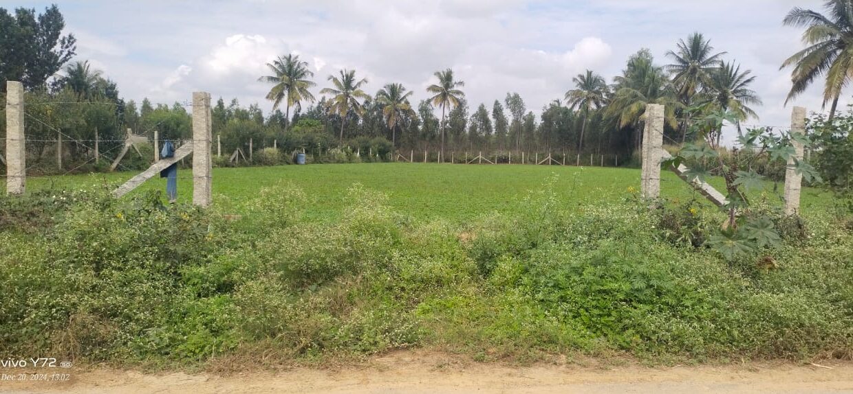 14b6e3d2-99d9-4d1d-8406-923f7a8995a3