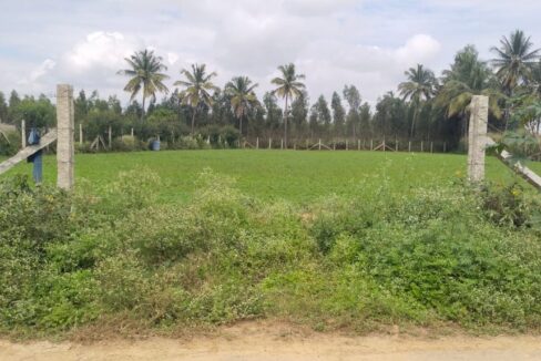 14b6e3d2-99d9-4d1d-8406-923f7a8995a3