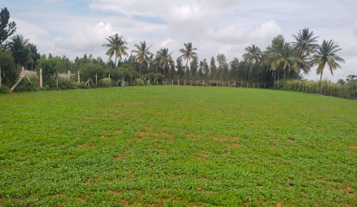 28311b19-8e66-4977-9a38-305268c66be5