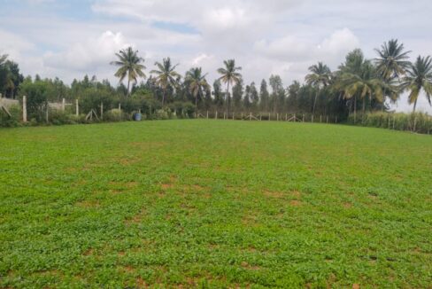 28311b19-8e66-4977-9a38-305268c66be5