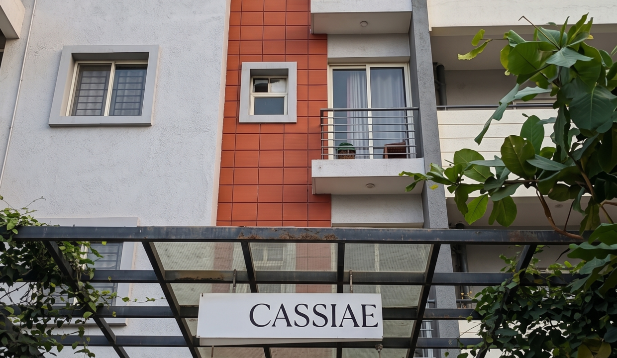 Gemini_Generated_Image_phs39yphs39yphs3