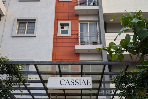 Gemini_Generated_Image_phs39yphs39yphs3