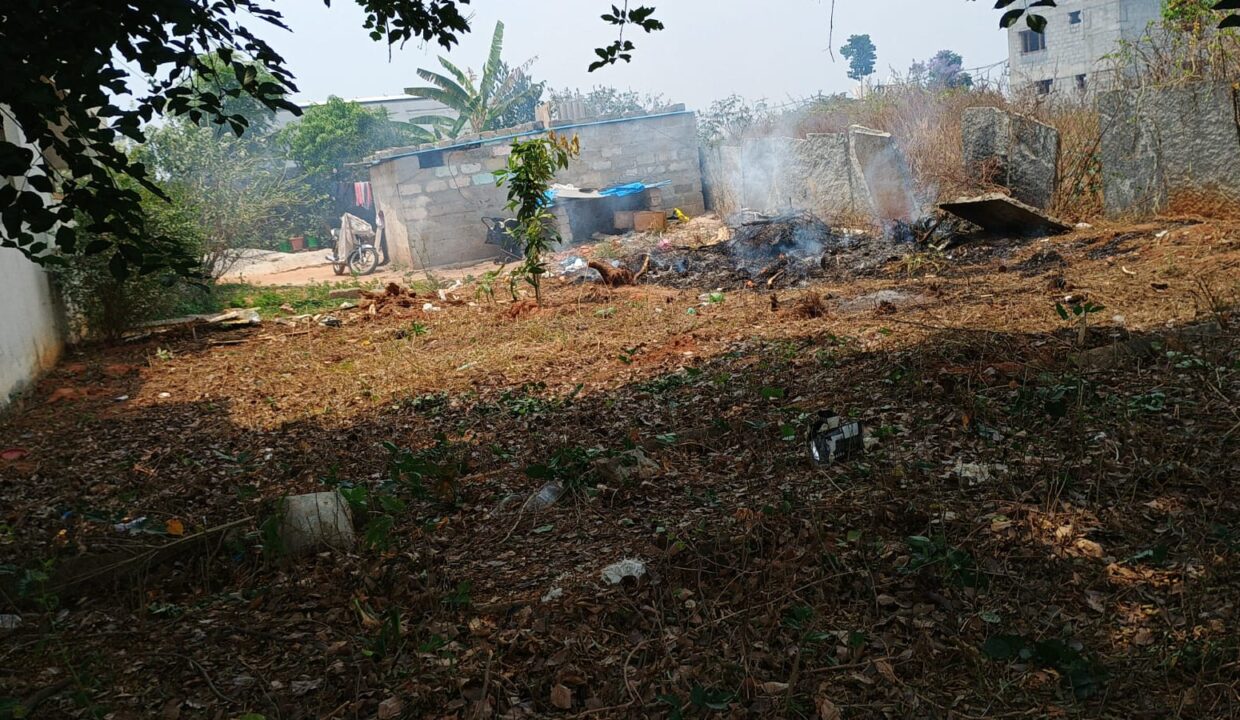 WhatsApp Image 2026-03-30 at 4.37.47 PM