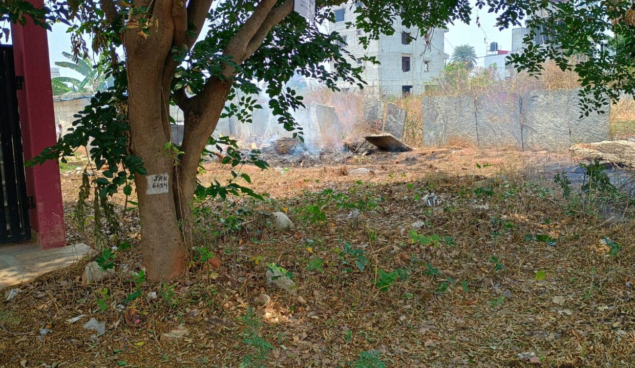 WhatsApp Image 2026-03-30 at 4.37.48 PM (1)