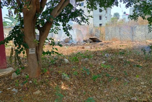 WhatsApp Image 2026-03-30 at 4.37.48 PM (1)