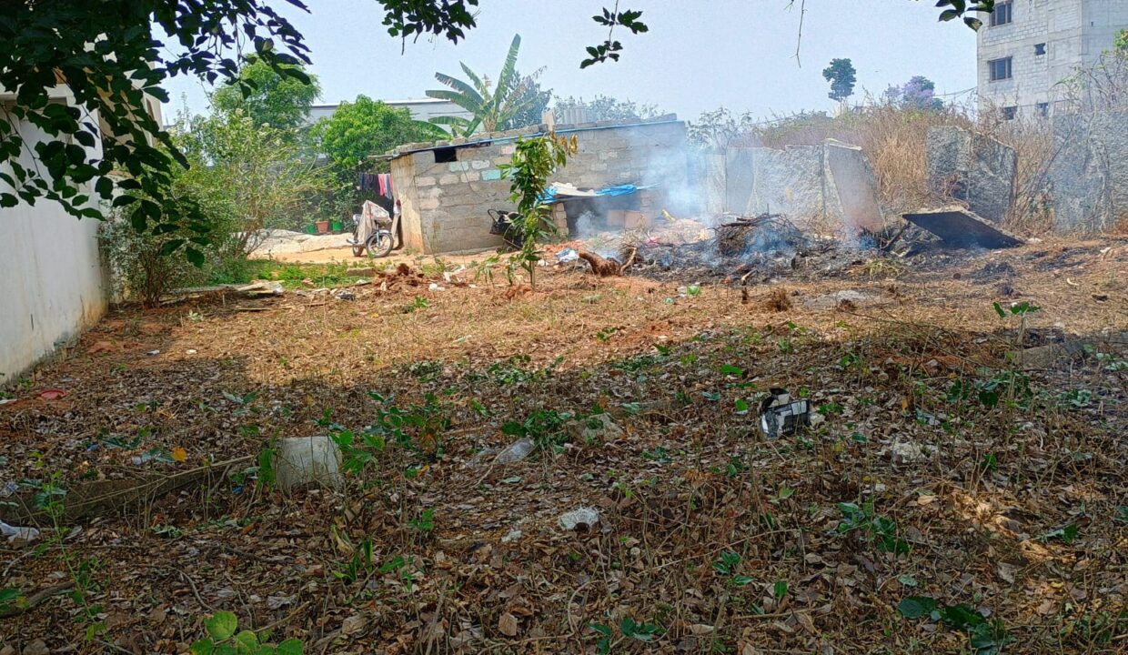 WhatsApp Image 2026-03-30 at 4.37.48 PM