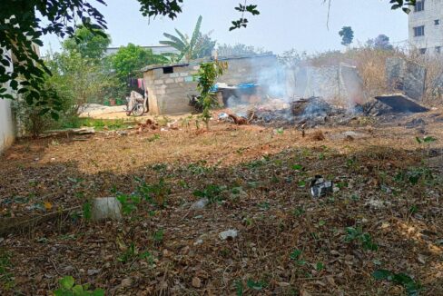 WhatsApp Image 2026-03-30 at 4.37.48 PM