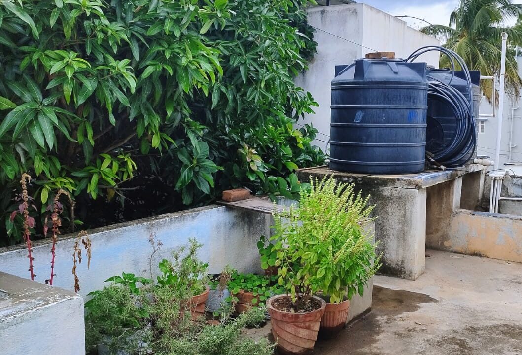 WhatsApp Image 2026-03-30 at 6.11.02 PM