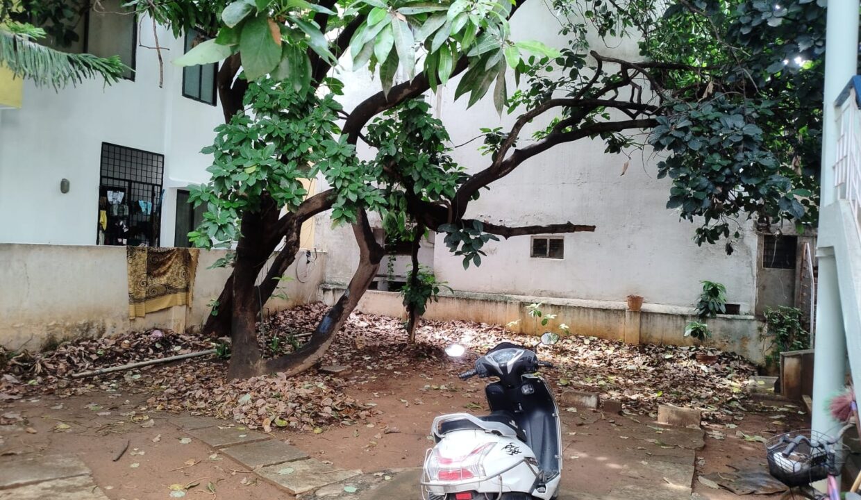 WhatsApp Image 2026-03-30 at 6.11.05 PM (1)