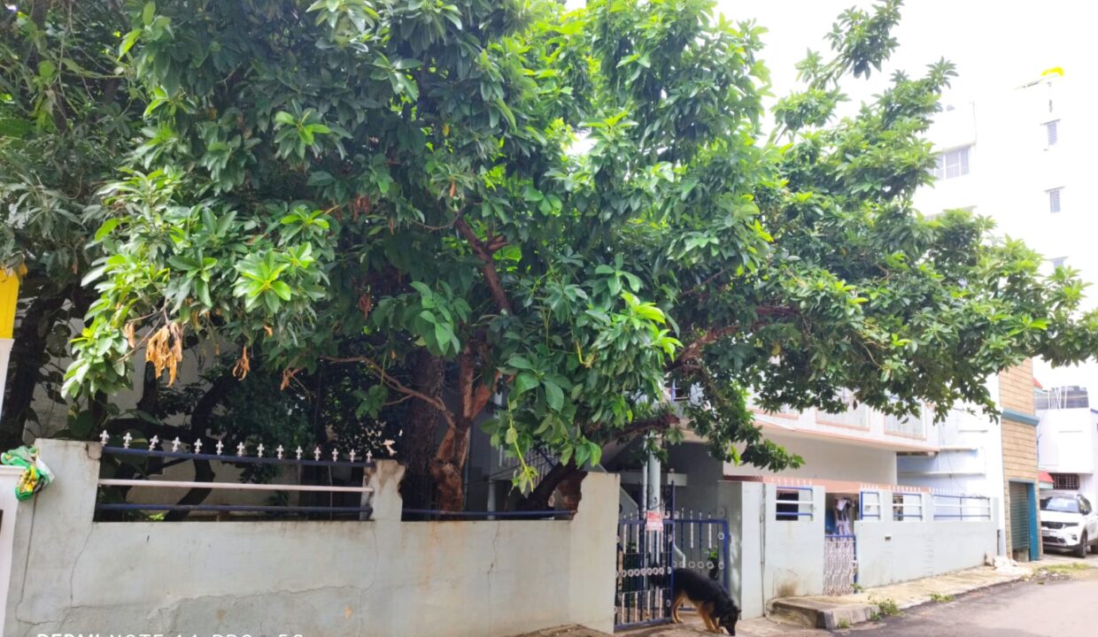 WhatsApp Image 2026-03-30 at 6.11.06 PM (2)