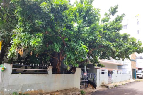 WhatsApp Image 2026-03-30 at 6.11.06 PM (2)