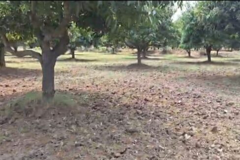 WhatsApp Image 2026-04-02 at 5.01.18 PM (1)