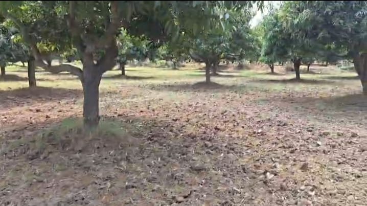 WhatsApp Image 2026-04-02 at 5.01.18 PM (1)