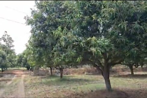 WhatsApp Image 2026-04-02 at 5.01.18 PM