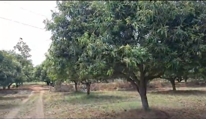 WhatsApp Image 2026-04-02 at 5.01.18 PM