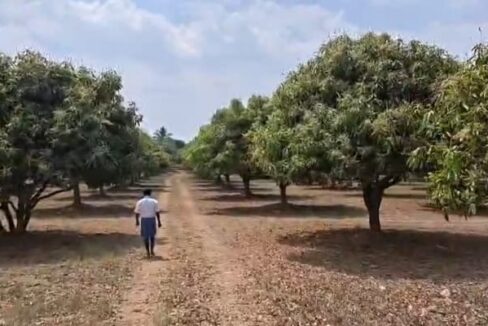 WhatsApp Image 2026-04-02 at 5.01.19 PM (1)