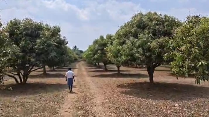 WhatsApp Image 2026-04-02 at 5.01.19 PM (1)