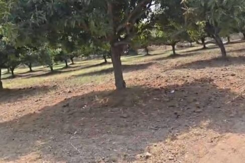 WhatsApp Image 2026-04-02 at 5.01.19 PM