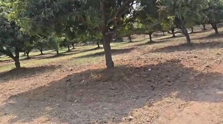 WhatsApp Image 2026-04-02 at 5.01.19 PM