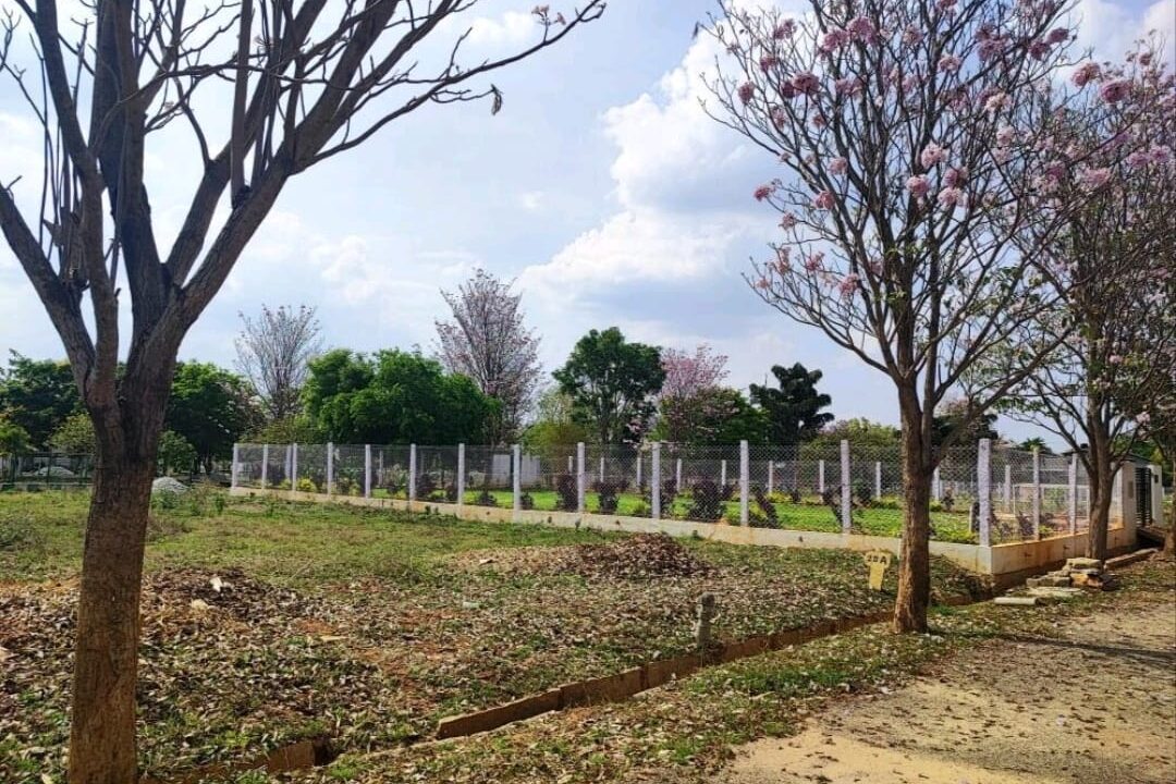 WhatsApp Image 2026-04-13 at 7.29.33 PM (1)