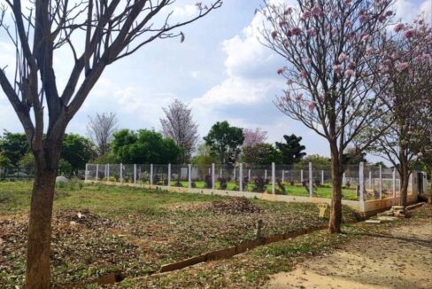 WhatsApp Image 2026-04-13 at 7.29.33 PM (1)