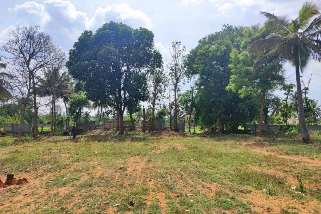 WhatsApp Image 2026-04-13 at 7.29.34 PM