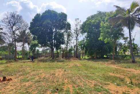 WhatsApp Image 2026-04-13 at 7.29.34 PM