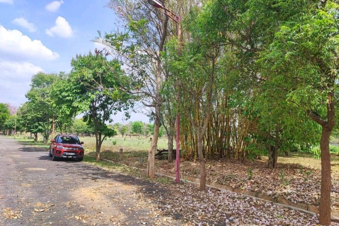 WhatsApp Image 2026-04-13 at 7.29.35 PM (1)