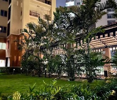 a5f00756-6d18-4dae-9cc2-266bc3e4cf2e